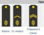 Insignia on shoulder straps and clothing