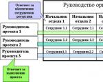 Determinarea responsabilităților funcționale ale participanților la proiect Principala dificultate a tranziției unei întreprinderi la o structură de proiect