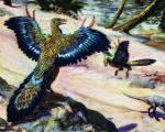 Arkeopteriksi, gjithçka për Arkeopteriksin, për Arkeopteriksin, dinosaurët e periudhës Jurasike, epoka e dinosaurëve, Përshkrimi i Arkeopteriksit Në cilën epokë u shfaq Arkeopteriksi